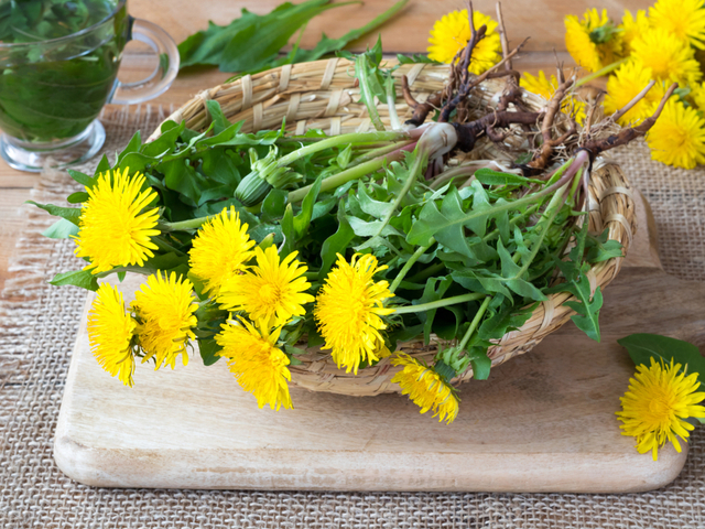 shutterstock_1076271488.jpg
